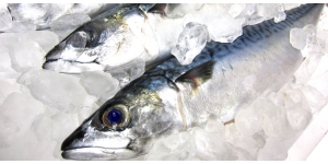 ���Y���i